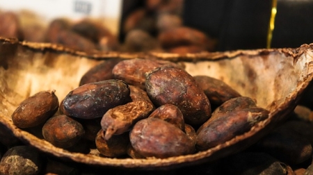 Cacao ceremonie